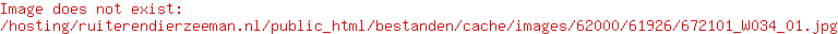 BR wedstrijdshirt Natasja dames snow white
