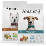 Amanova Hond Droogvoer 10/12 kg