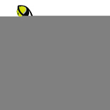 Beeztees Hondenspeelgoed Fetch