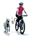 Fietsbeugel Springer