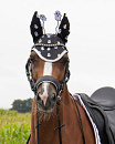 QHP Oornetje Halloween