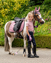 QHP Riem Junior Collection Rainbow/Unicorn 55 cm