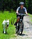 Fietsbeugel Springer