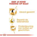 Royal Canin hondenvoer Beagle Adult 3 kg