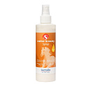 Sectolin Leather Dressing Spray 250 ml