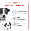 Royal Canin Hondenvoer Starter Mousse 12 x 195 gr