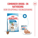 Royal Canin Hondenvoer Starter Mousse 12 x 195 gr