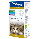 Bach Bloesem Angst <br>20 ml