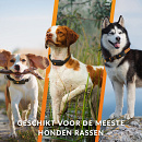Weenect XT GPS Tracker met Julius-K9 Halsband Oranje