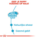 Royal Canin Hondenvoer Starter Mousse 12 x 195 gr