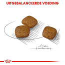Royal Canin Hondenvoer Urinary Care Mini 1 kg
