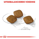 Royal Canin Hondenvoer Relax Care Mini 8 kg