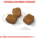Royal Canin Hondenvoer Dental Care Mini 8 kg