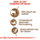Royal Canin Kattenvoer Ageing 12+ 400 gr