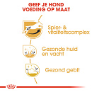 Royal Canin Hondenvoer Jack Russell Adult 1,5 kg