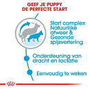 Royal Canin Hondenvoer Maxi Starter 4 kg