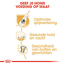 Royal Canin Hondenvoer German Shepherd Adult 3 kg