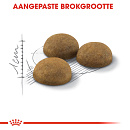 Royal Canin Kattenvoer Indoor Long Hair 4 kg