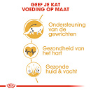 Royal Canin Kattenvoer Maine Coon Adult 10 kg