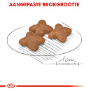 Royal Canin Hondenvoer Mini Adult 4 kg