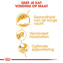 Royal Canin Kattenvoer Persian Adult 10 kg