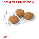 Royal Canin Kattenvoer Protein Exigent 10 kg