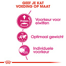 Royal Canin Kattenvoer Protein Exigent 10 kg