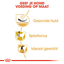 Royal Canin Hondenvoer Pug Adult <br>3 kg