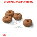 Royal Canin Hondenvoer Sterilised Maxi 3 kg