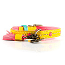 Dog with a Mission Halsband Jessy