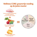 Wellness CORE hondenvoer Large Breed Adult 10 kg