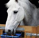 Horslyx Liksteenhouder voor 5 kg