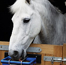 Horslyx Liksteenhouder voor 5 kg