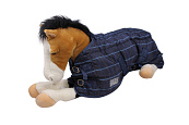 QHP staldeken Falabella
