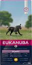 Eukanuba hondenvoer Growing Puppy Large Breed 12 kg