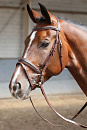 Harry's Horse hoofdstel Soft bruin