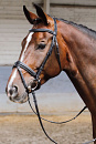 Harry's Horse hoofdstel Soft zwart