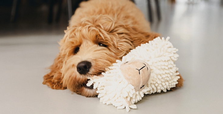 Binnen spelen = buitengewoon leuk