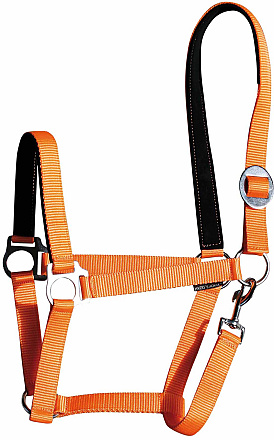 Harry's Horse halster padded 