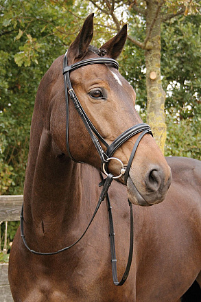 Harry's Horse hoofdstel Luxe zwart