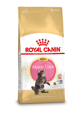 Royal Canin Kattenvoer Maine Coon Kitten 4 kg