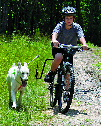 Fietsbeugel Springer