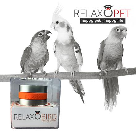 RelaxoBird Smart