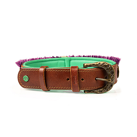 Dog with a Mission halsband Hazel