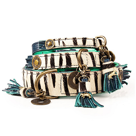 Dog with a Mission halsband Zara