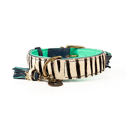 Dog with a Mission halsband Zara