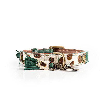 Dog with a Mission halsband Ivy