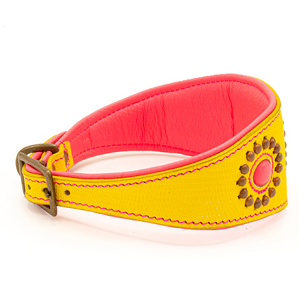 Dog with a Mission halsband Greyhound Jessy