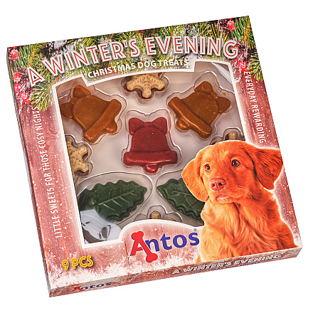 Antos A Winter's Evening 9 st