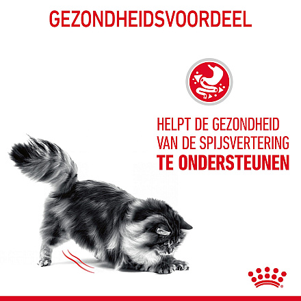 Royal Canin Kattenvoer Digestive Care 2 kg